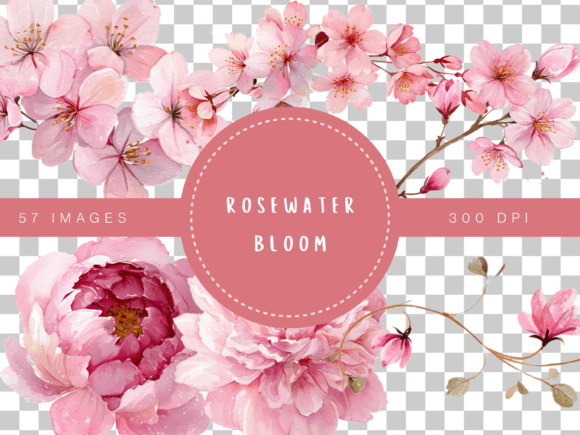 Download Rosewater Bloom Watercolor Floral Clipar - Bloom Collection